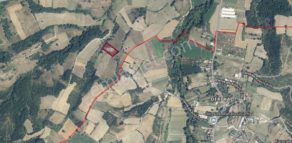 Hamidiye Köyünde Satılık Tarla