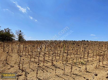 Semih'den Afşarda Şehir Manzaralı Hakim Noktada Hesaplı Arazii