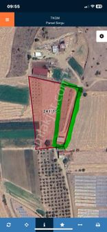 İzmir Tire Derebaşı Mh Satılık Hiseli Tarla Rizayı Taksim Yapılmış