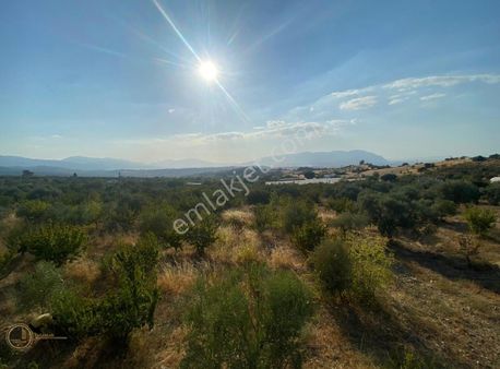 Yasaklar Group'tan Fırsatların Fırsatı !!!