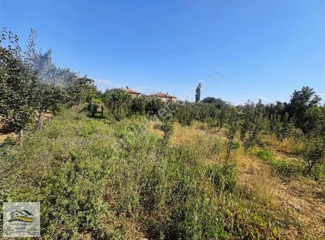 Yunus Emlaktan Satılık Sazlıca Yukarı Mahallede Arsa