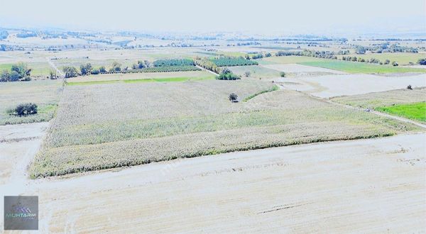 Muhtarımdan Tütüncü Mah.çeltik Ekimine Uygun Tarla