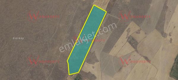 W Property'den Aksaray Osb Arkası Yatırımlık 43 Dönüm Tarla