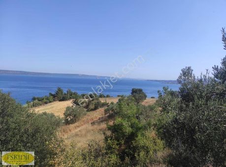 Çanakkale Erenköy Çakaltepe Mevkii Boğaz Manzaralı Satılık Tarla