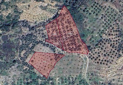 Söke Sazlı Mh. Bence Arsa Komşusu 7.745 M² Yatırımlık Arsa