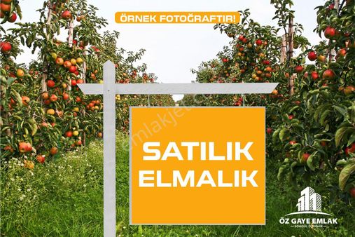 Öz Gaye Emlaktan Yahyalı İsmet Mahallesinde Satılık Elmalık