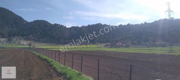 Fethiye Yayla Koruda 7 Dönüm Tek Tapu Tarla