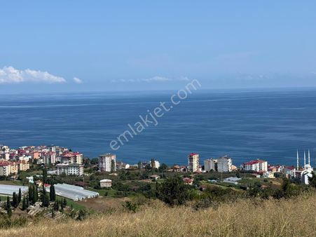 Trabzon Akçaabat Yeni Mahalle 5.440 M2 Deniz Manzaralı Satılık Arsa