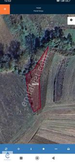 Çelebioglu Gayrimenkul Den Körfez De Satılık Tarla