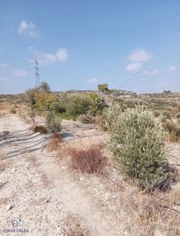 Manavgat Çolaklı Da Satılık Tarla