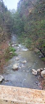 Kemal Emlak'tan Satılık Kivi Bahçesi