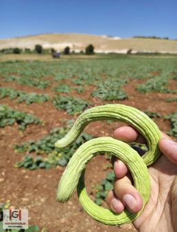 Suboğazı'nda Sulutarla