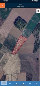 Fırsat Hancı'dan Mustafa Kemalpaşada Satılık Tarla