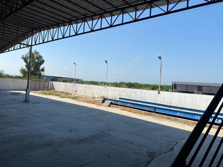 Aydın Söke Güllübahçe Yolu Üzeri Kiralık Depo