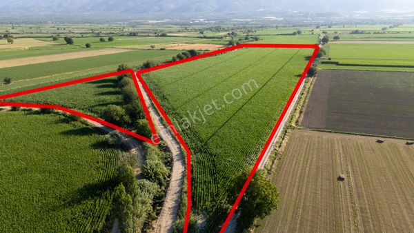 Esenköy Mahallesinde Satılık Verimli Ve Sulak Tarla