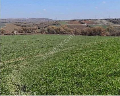 Büyükkılıçlı-silivri, Köye 1.300 Metre, Yatırımlık En İyi Fiyat!