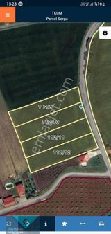 Bafra Köseli Köyünde Satılık Arazi!!!