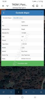 Aydın Germencik Naiplide 1921 M2 Zeytinlik