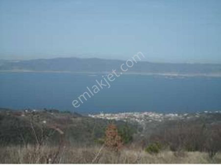 Kocaeli Ereğli’de 7.534 M² Deniz Manzaralı Yatırımlık Fırsat Müstakil Arazi Satılık