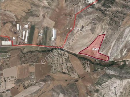 Ayaş Ortabereket Telle Çevrili Satılık Hobi Bahçesi