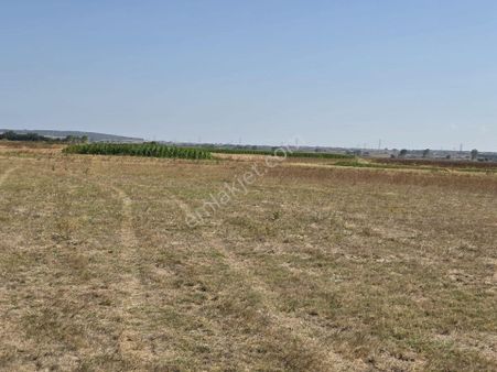 Kırklareli Vize Evrenli Satılık Kupon 304m2 Tarladan Hisseler