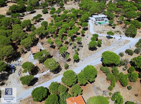 Ayvalık Bağyüzü Mah. Yatırımlık 3.450 M² İmarlı Arsa