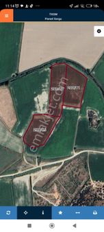 Didim Balat Mevkiinde Bitişik 3 Parselden Oluşan 27,700 M2 Kelepir Düz Verimli Tarla