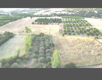 Elma Bahcesı 2300 M2