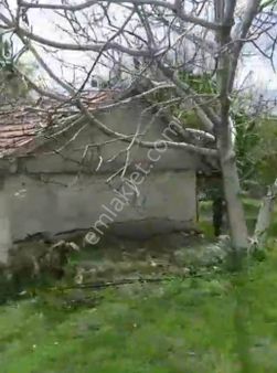 Kıraz Meyve Bahçesi 4 Dönüm