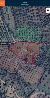 Golden Globy, Havran Çamdibi'nde Satılık 6687 M2 Zeytinlik