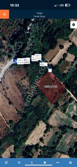 Kayseri Melikgazi Ağırmasda Sulak Bağ Yeri