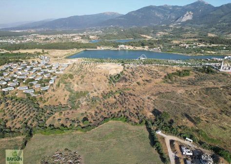 Kemalpaşa Çiniliköy Satılık Zeytinlik 4150m2 Tek Tapu