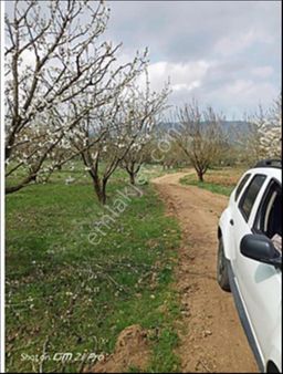 Geyve Akdoğan Köy Merkezinde İmara Yakın Bahçe