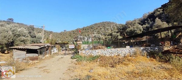 Milas Selimiye Kandak Mevkiinde Satılık Ev, Dam Ve Bahçe