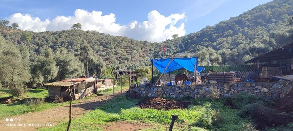 Milas Selimiye Kandak Mevkiinde Satılık Ev, Dam Ve Bahçe