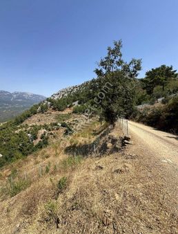 Alanya Çamlıca'da Resmi Ev Yapımına Uygun