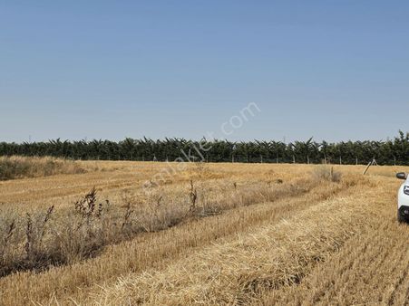 Saray Göçerler'de 7500 M2 Tek Tapu Kupon Tarla