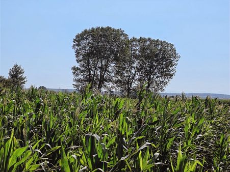 Vıze Evrenlıde 1900 M2 Tek Tapu Tarla!!