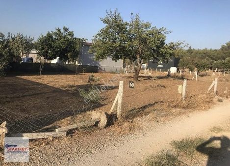 İzmir Torbalı Helvacı Mevkiinde Satılık Kooperatif Hissesi