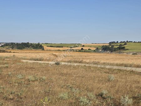 Saray Büyükyoncalı'da Satılık 300m2 İmarlı İfrazlı Harika Arsa