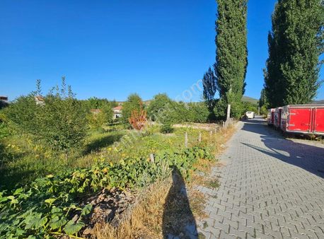 Taşoluk'ta Satılık 3 Kat İmarlı Arsa Koru Manzaralı Fırsat!