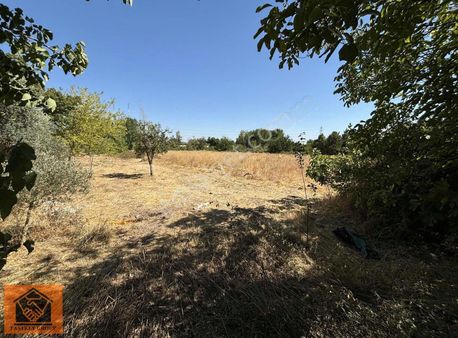 Oğlananası'nda 4900 M2 Tek Tapu Tarla Elektrik Su Dibinde