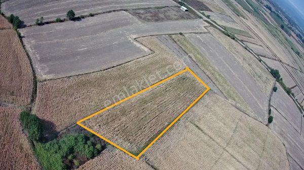 Hendek Su Kenarında Satılık 1.781 M² Tarla
