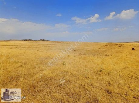 Söğüt Emlak'tan Akbelde Satılık Sanayi İmarlı Arsa