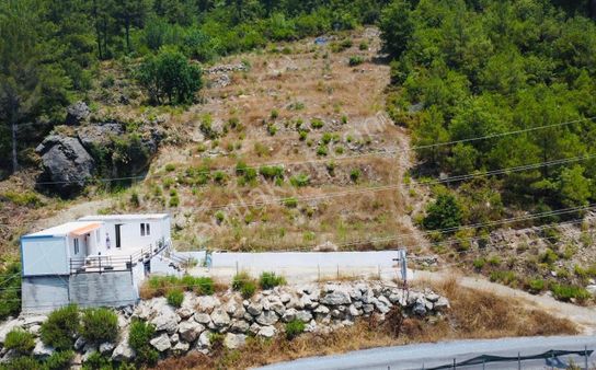 Alanya Dim Bucak Mah. 2.500m² Bahçe 2 Adet Eşyalı Konteyner Ev Acil Satılık