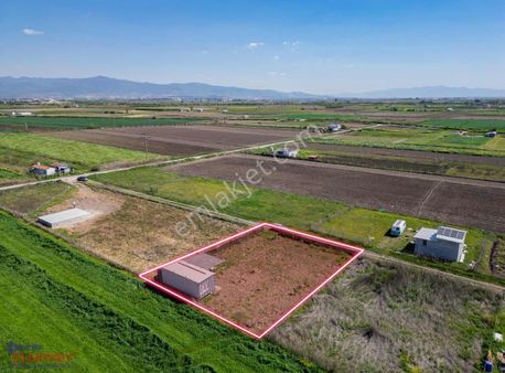 Türkelli Köyünde İçinde Konteyner Olan Hisseli Tarla Satılık