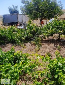 Uluoba'dan Sarıyakup Köyünde Satılık Tarla