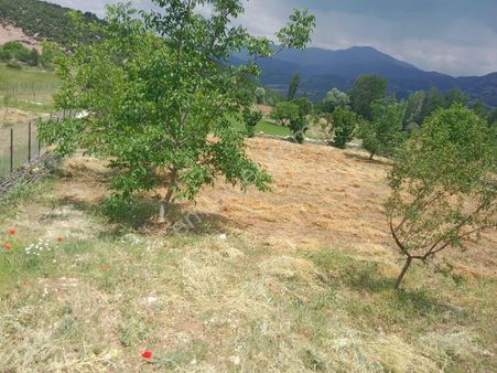 Fethiye Y.yakacik Müstakil Tarla