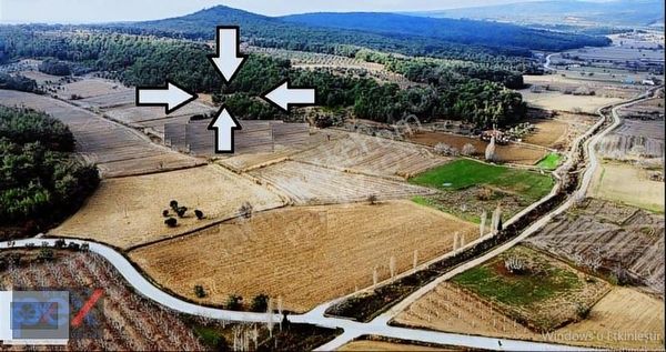 Boğazda 20 Zeytin Ağaçlı Tek Tapulu Tarla