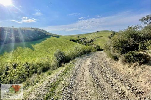 Çukurova Söğütlüde 564 M2 Arsa Yatirim Firsati